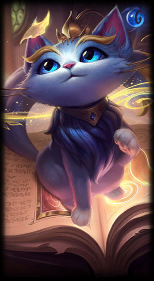 经验丰富的 经验丰富的